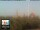 Webcam in Florence, 0.9 mi away
