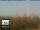 Webcam in Florencia, 49.7 km