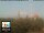 Webcam in Firenze, 2.2 km