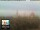 Webcam in Florence, 8.5 mi away
