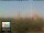 Webcam in Florencia, 49.7 km