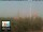 Webcam in Florence, 2.9 mi away