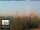 Webcam in Florencia, 30.1 km