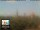 Webcam in Firenze, 21.9 km
