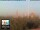 Webcam in Florenz, 49.7 km entfernt