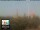Webcam in Florenz, 49.7 km entfernt