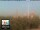 Webcam in Florence, 0.2 mi away