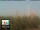 Webcam in Florence, 8.5 mi away