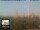 Webcam in Florence, 0.7 mi away