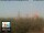 Webcam in Florence, 0.7 mi away