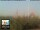 Webcam in Florence, 0.9 mi away