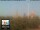 Webcam in Florence, 0.7 mi away
