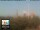Webcam in Florenz, 49.7 km entfernt
