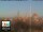 Webcam in Florencia, 0.5 km