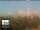 Webcam in Florenz, 46.5 km entfernt