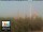 Webcam in Florenz, 49.7 km entfernt