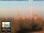 Webcam in Florenz, 21.9 km entfernt