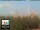 Webcam in Florence, 2.3 km