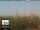 Webcam in Florencia, 21.9 km
