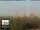 Webcam in Florence, 2.2 km