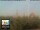 Webcam in Florenz, 49.7 km entfernt