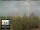 Webcam in Firenze, 1.9 km