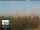 Webcam in Florence, 0.7 mi away