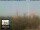 Webcam in Florenz, 49.7 km entfernt