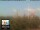 Webcam in Firenze, 2.2 km