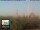 Webcam in Florenz, 49.7 km entfernt