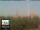 Webcam in Florencia, 2.4 km