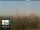 Webcam in Florence, 2.9 mi away