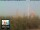 Webcam in Firenze, 49.7 km