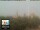Webcam in Florencia, 49.7 km