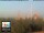 Webcam in Florence, 14.8 mi away