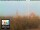Webcam in Florence, 8.5 mi away