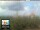Webcam in Florencia, 21.9 km