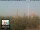 Webcam in Firenze, 2.2 km