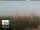 Webcam in Florenz, 49.7 km entfernt