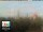 Webcam in Firenze, 39.7 km