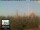 Webcam in Florence, 8.5 mi away