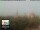Webcam in Florence, 0.9 mi away