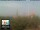 Webcam in Florence, 5.1 km
