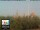 Webcam in Florence, 44.8 km