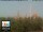 Webcam in Florence, 5.1 km