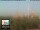 Webcam in Florenz, 13.6 km entfernt