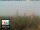 Webcam in Florence, 11.6 mi away