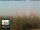 Webcam in Florenz, 49.7 km entfernt