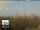 Webcam in Florence, 0.7 mi away