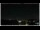 Webcam in Bellaria-Igea Marina, 6.3 km entfernt